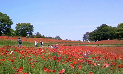 150517_1110~010001.jpg