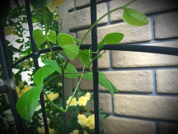 rblog-20160427174731-09.jpg