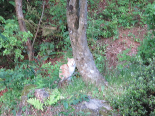 IMG_4459.JPG