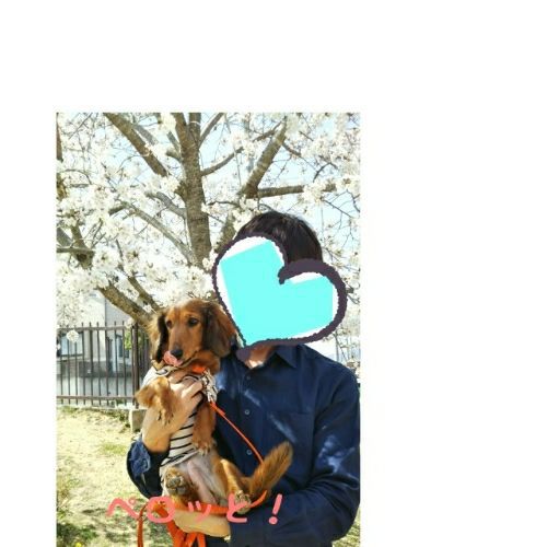 rblog-20180328143849-00.jpg
