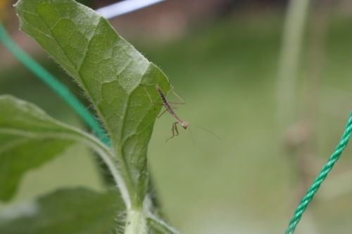 20150606-104.JPG