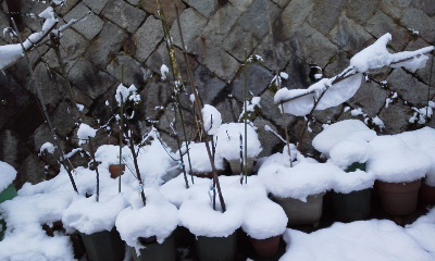 160120_0734~01.jpg
