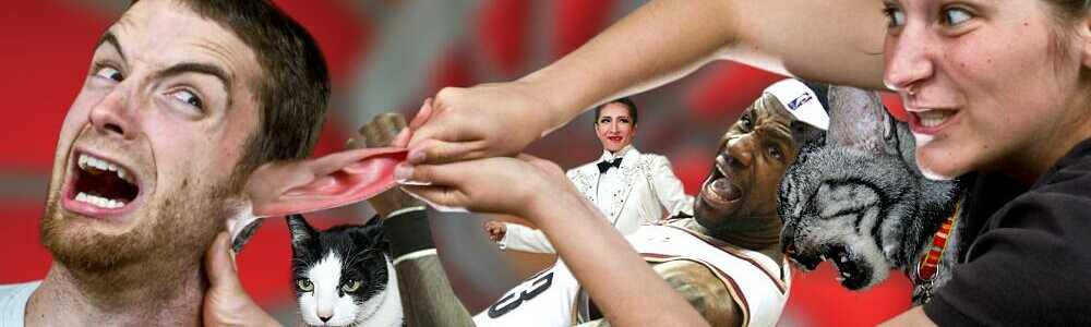 耳（ミミ）とチャッピの布団