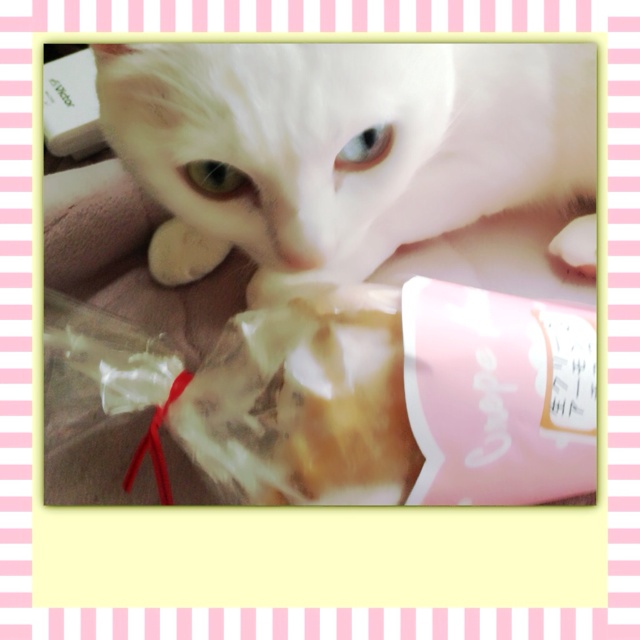 rblog-20130329150153-03.jpg