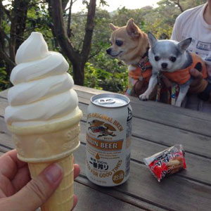 ソフトとビール