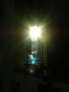 12-02hizashi (1).JPG