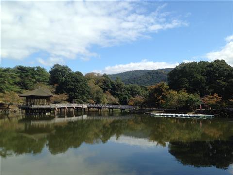 20141108172902.jpg