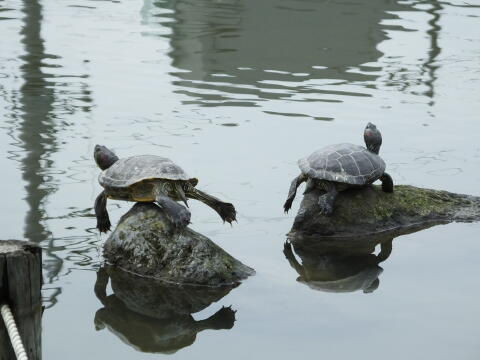 小池公園にて