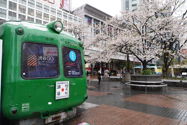 雪桜 . 渋谷 & 「青ガエル」「忠犬ハチ公」「東急百貨店 東横店」 | 鉄人騎士。鉄 パワーランド(*^ω^*) - 楽天ブログ