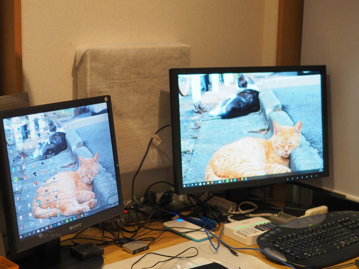 EIZO Color Edge CS2410 モニター購入！ | にゃんこだま 写真blog