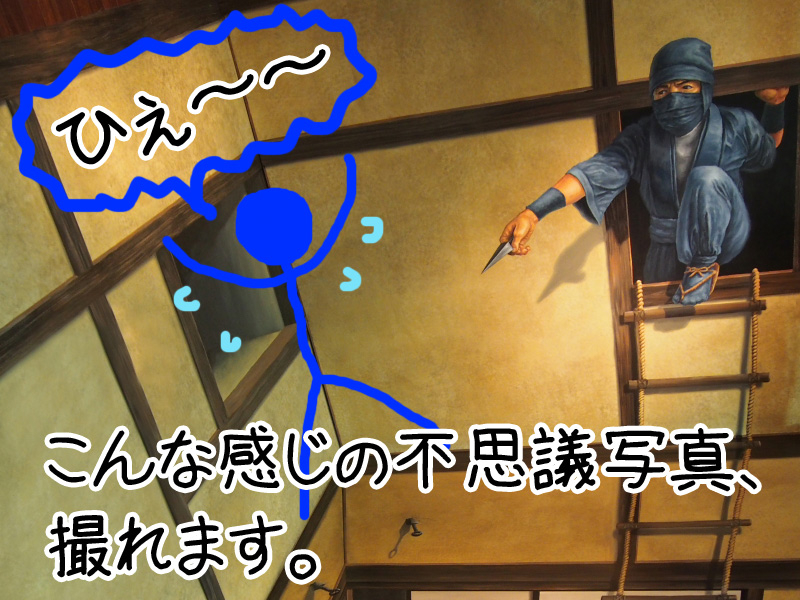 こんな写真が撮れるのよ