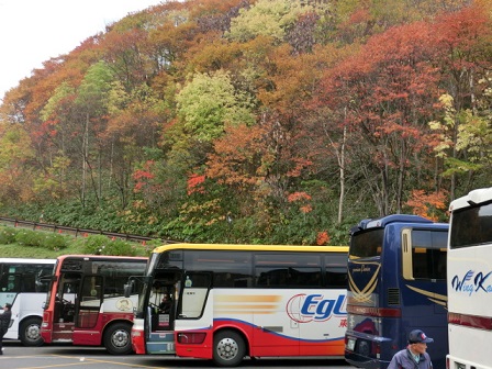 CIMG0353.JPG
