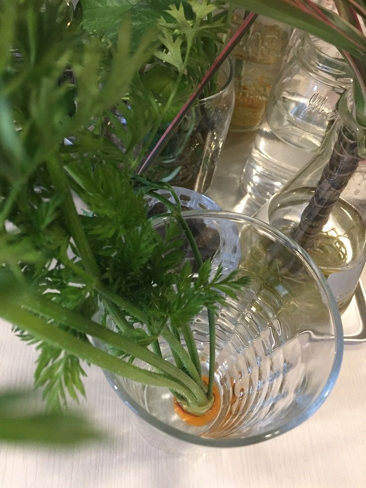 わが家のクリスマスツリー まいにちがcomfy 楽天ブログ