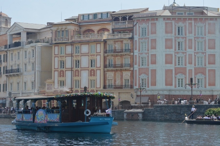 DSC_1251 (450x299).jpg