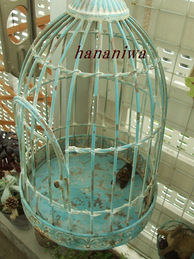 2012_0817トレッサ用寄せ植えとクレマチスの講座とカ0011.JPG