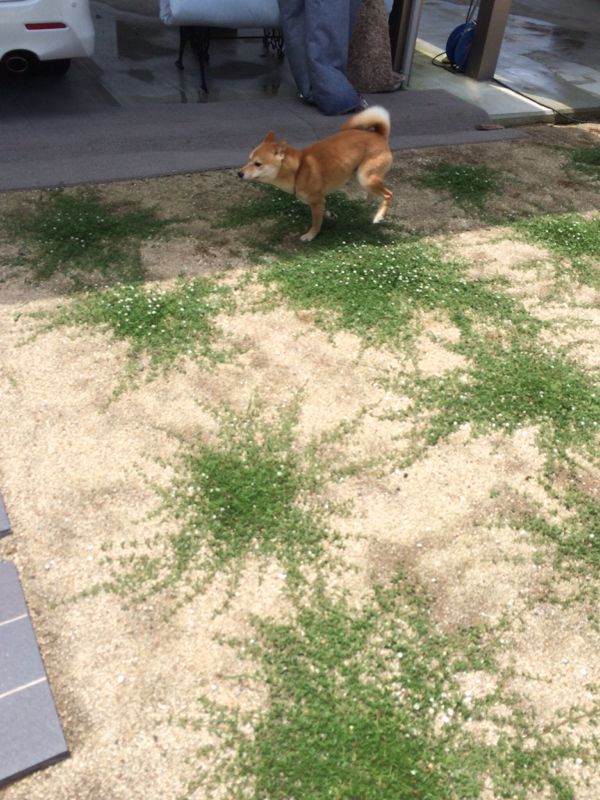 rblog-20150718195043-03.jpg