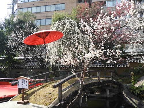 湯島天神