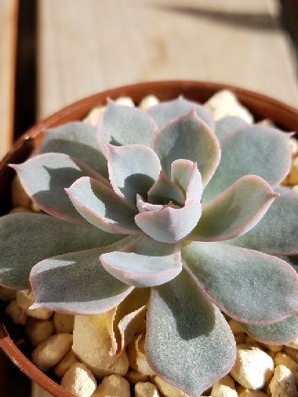 rblog-20181119112301-04.jpg