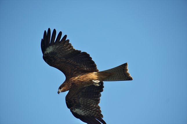 6.151021-152500A .jpg