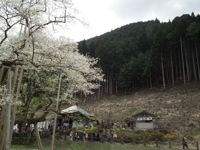 DSCF3746.JPG