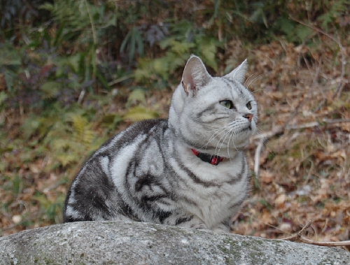 DSC_0166.JPG