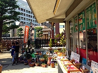 今戸神社