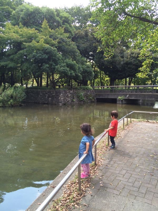 rblog-20150918002142-01.jpg