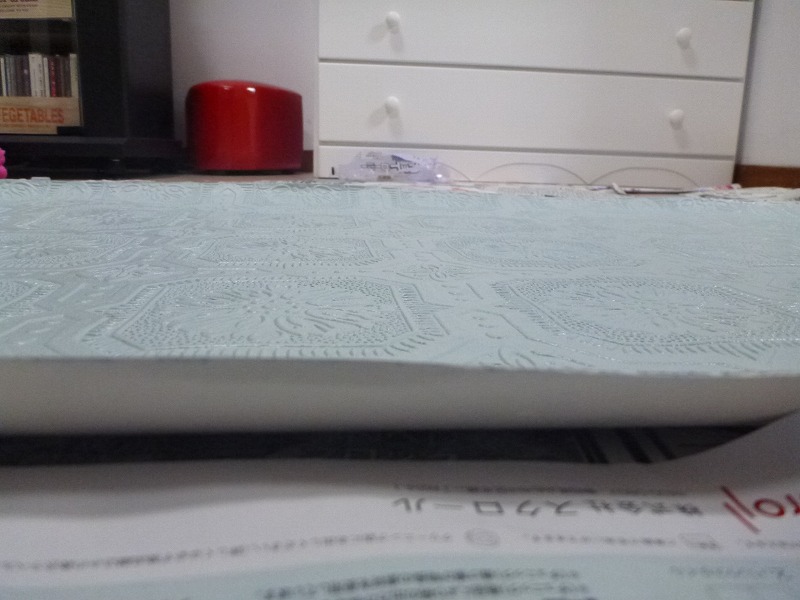 P1100620.jpg