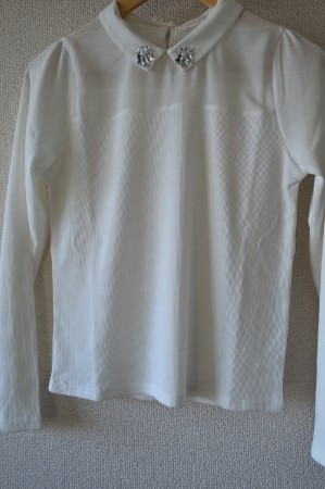 DSC_0087 (450x299).jpg