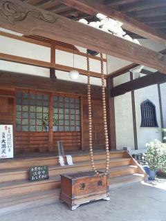 IMG_20130512_12101804.jpg
