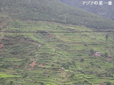 20160728 ポブジカ18