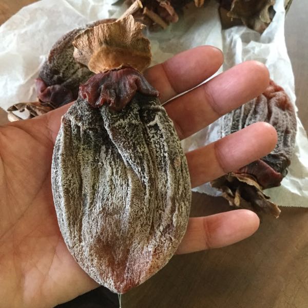 rblog-20160206175203-00.jpg
