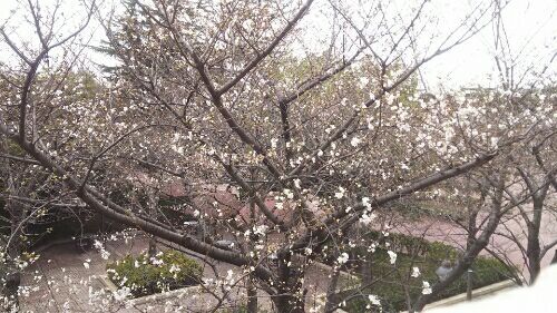 rblog-20180328170524-01.jpg