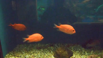 20131021-PA213256.JPG