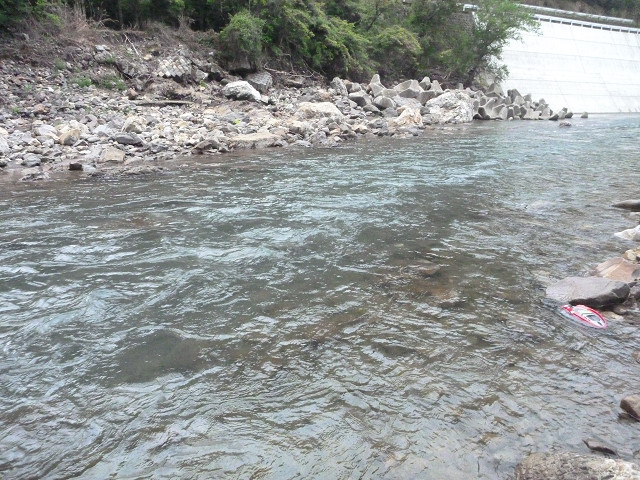resize0004.jpg