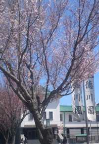 徳川美術館