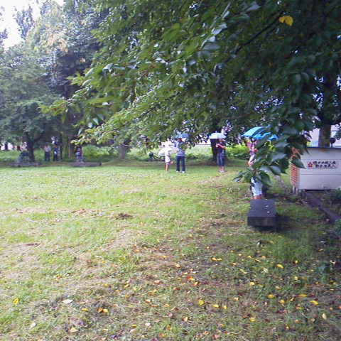 2013072506280000.jpg
