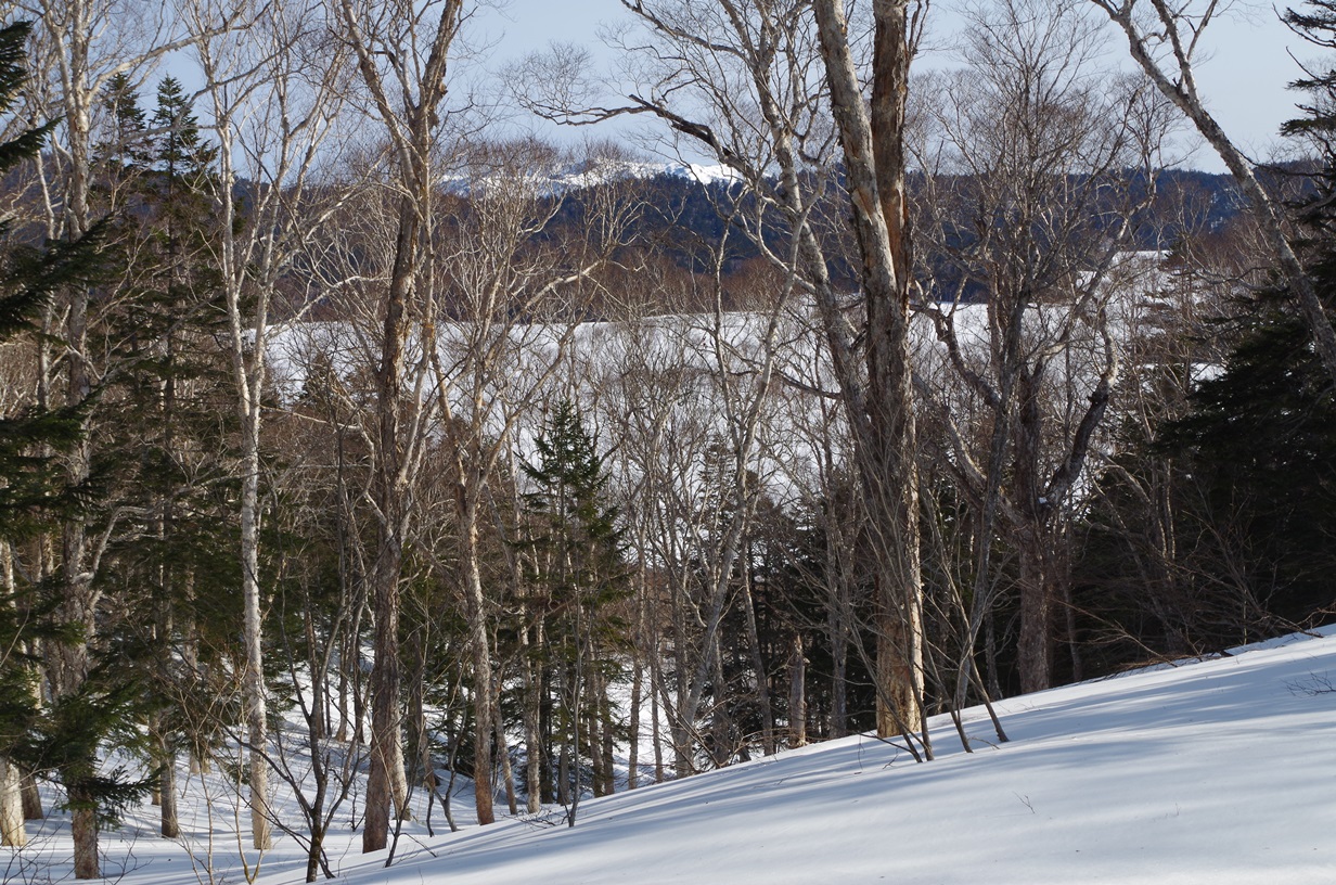 14_IMGP1014.JPG