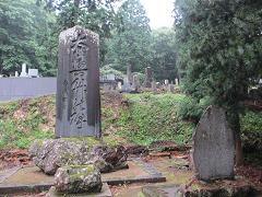 IMG_2316.jpg