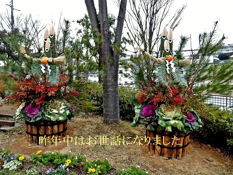 公園の正月飾り2.JPG
