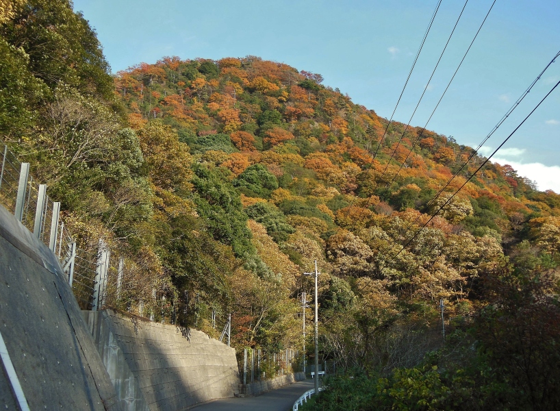 遊歩道からの眺め