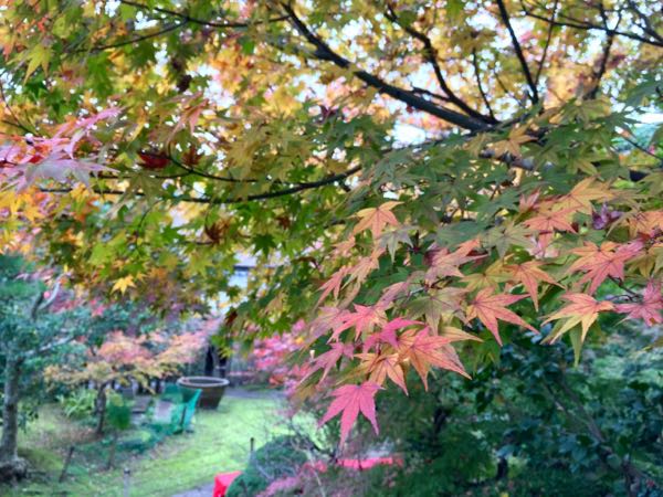 rblog-20161201195319-02.jpg