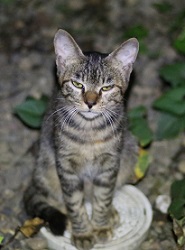 5DA_1398-2.jpg