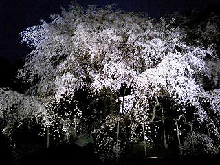 130320_181543.jpg