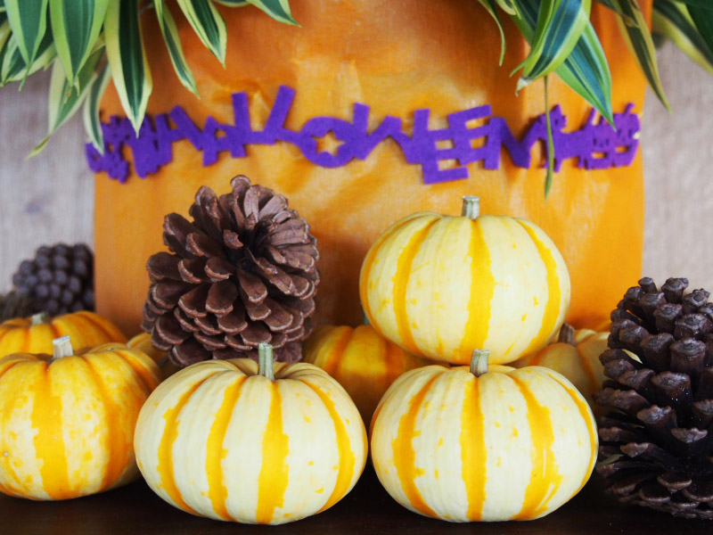 ハロウィン装飾