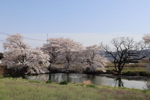 rblog-20180423000902-03.jpg