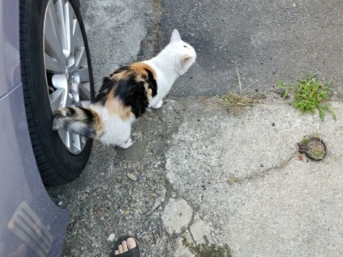 rblog-20180728221049-00.jpg