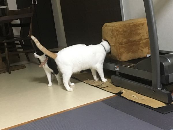 rblog-20181122063323-02.jpg