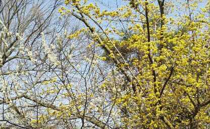 rblog-20150323125847-01.jpg