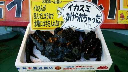 朝市.jpg